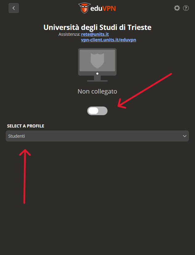 Selezione del profilo e avvio della connessione VPN in eduVPN